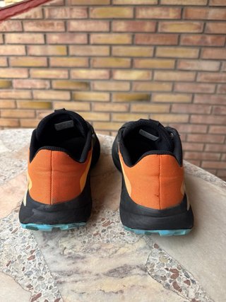 Salomon Genesis