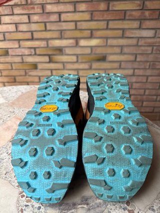 Salomon Genesis