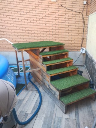 Escalera para piscina de madera y césped