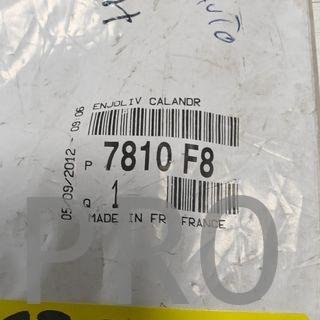 MOLDURA CENTRAL PARACHOQUE DELANTERO PEUGEOT 607
