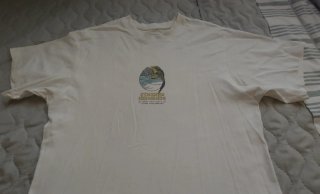 Camiseta Pull and Bear Blanca