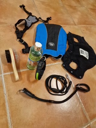 Lote Accesorios Perro Pequeño