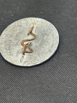Insignia Mussolini Partido Fascista