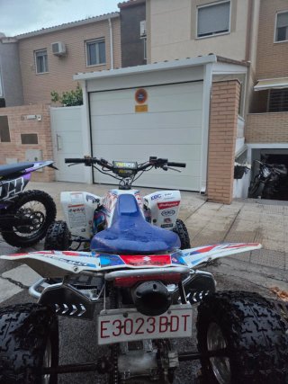 Suzuki LTR 450 Quad Azul y Blanco