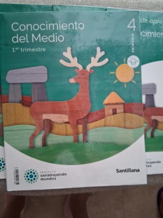 Diario Conocimiento del Medio 4º Primaria