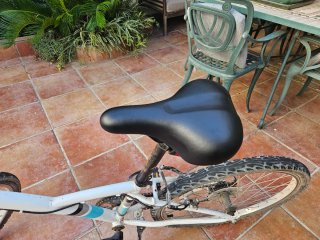 Bicicleta Infantil BTwin Original 100