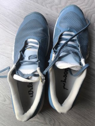 Zapatillas Wilson Azules y Blancas