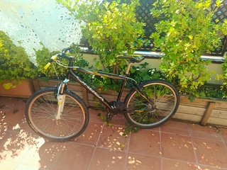 Orbea MTB Talla M
