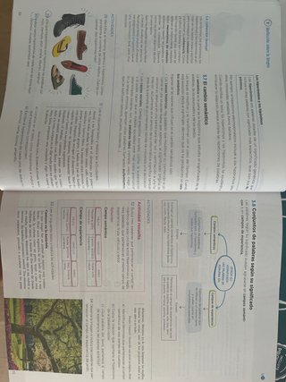 Lengua y literatura 1 ESO