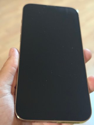 iPhone 13 Pro Max 128GB Dorado