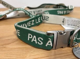 Collar y Correa Perro Zara Home