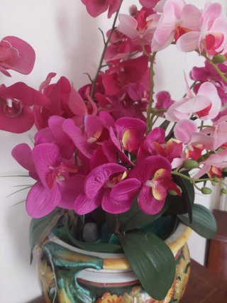 Arreglo Orquídeas grande