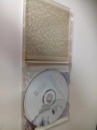 CD Everything but the Girl - Temperamental