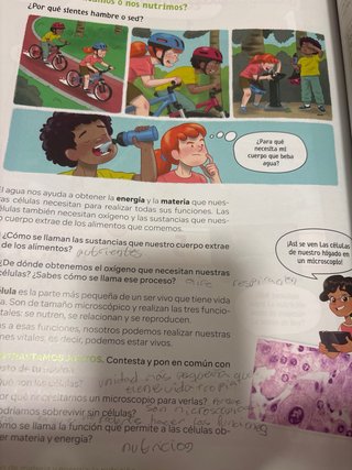 Ciencias de la Naturaleza, 5 Primaria, Comunida...