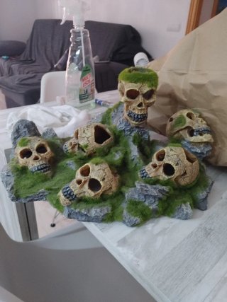Decoración Acuario Calaveras Musgo