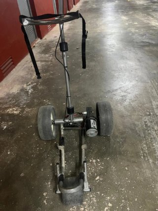 Carro eléctrico+ Juego de palos de golf