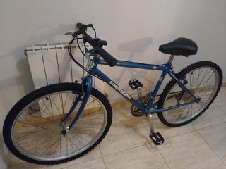 Bicicleta Boomerang