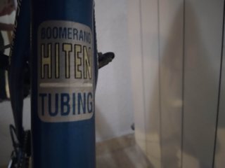 Bicicleta Boomerang