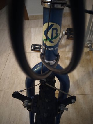 Bicicleta Boomerang