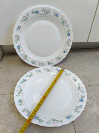 2 Platos de Presentación