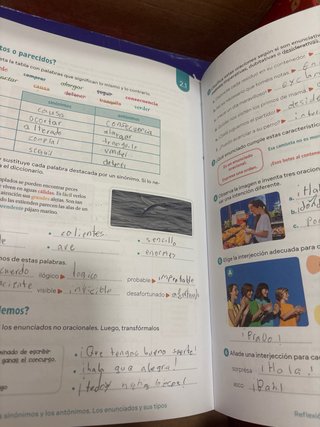 Cuaderno de Lengua castellana y Literatura. 5 P...