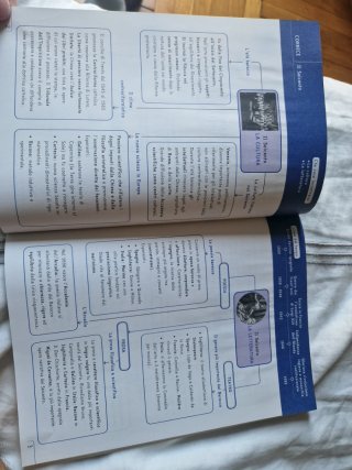 Letteratura contenuti di base