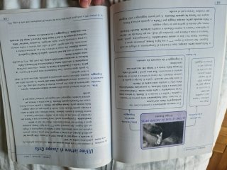 Letteratura contenuti di base
