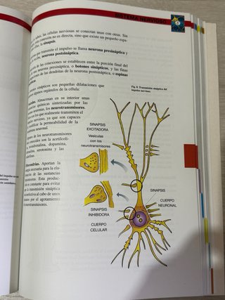 Atlas de anatomía y fisiología.