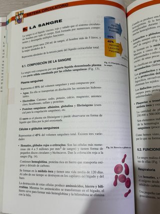 Atlas de anatomía y fisiología.