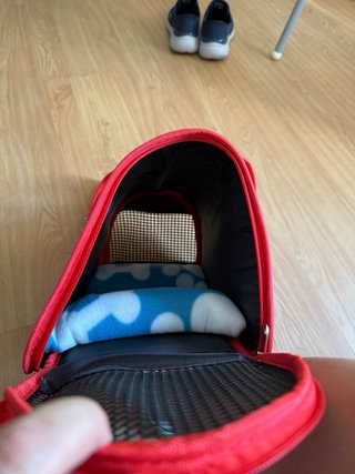 Transportín para animales pequeños