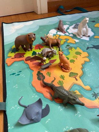 Colección Animales National Geographic 2021 -RBA