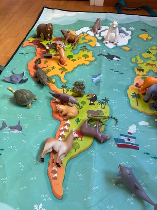 Colección Animales National Geographic 2021 -RBA