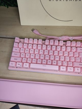 Teclado y Ratón