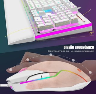Teclado y Ratón