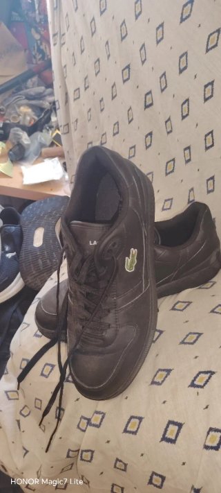 Bambas de Adidas Lacoste  puma vendo el loti enter