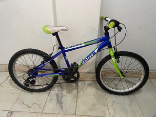 Bicicleta Infantil DTB 20 Pulgadas