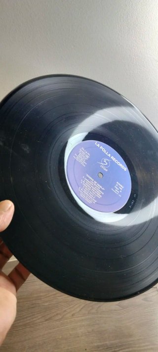 2 Vinilos La Polla Records Punk Rock