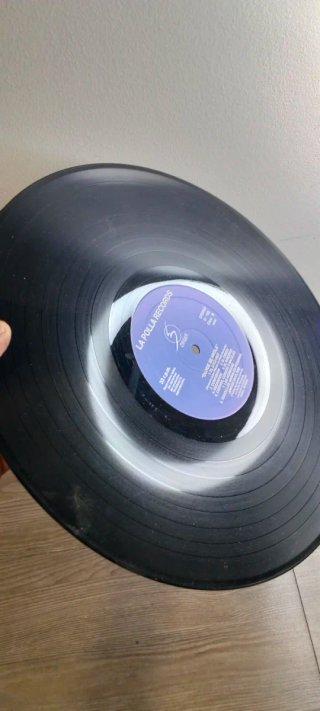 2 Vinilos La Polla Records Punk Rock