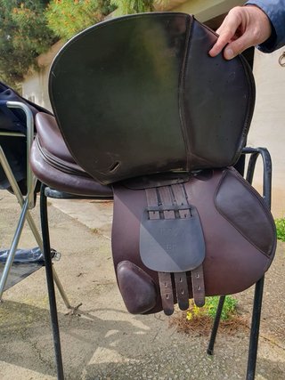 Montura Salto Tibo Equestrian