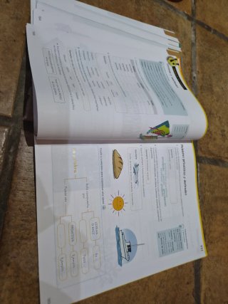 Lengua 5 Primaria