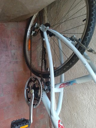 Bicicleta de montaña blanca