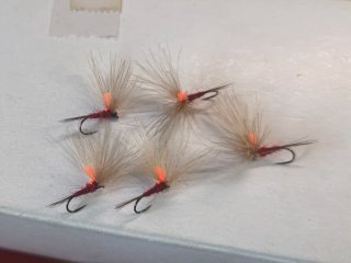 Lote 5 moscas varones rojos Talla 18