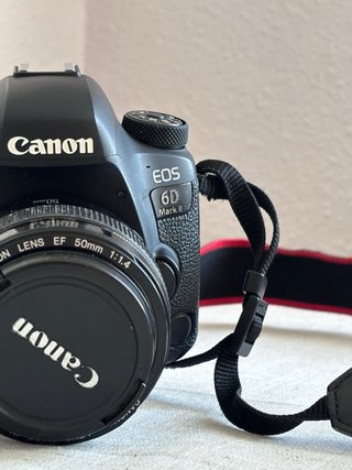 Canon 6D mk II