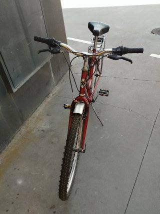 Bicicleta Paseo Adulto Roja