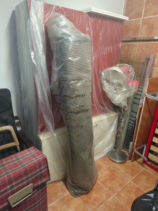 muebles, sillas, lampara, alfombra y sillon