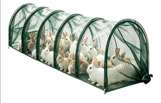 2 Recintos portátiles para animales