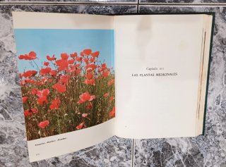 Libro antiguo "La reforma pro-salud"