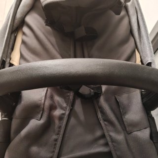 Carro Bugaboo Camaleón 1