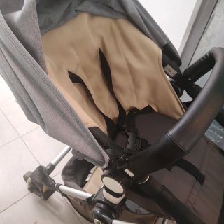 Carro Bugaboo Camaleón 1