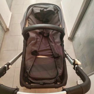 Carro Bugaboo Camaleón 1